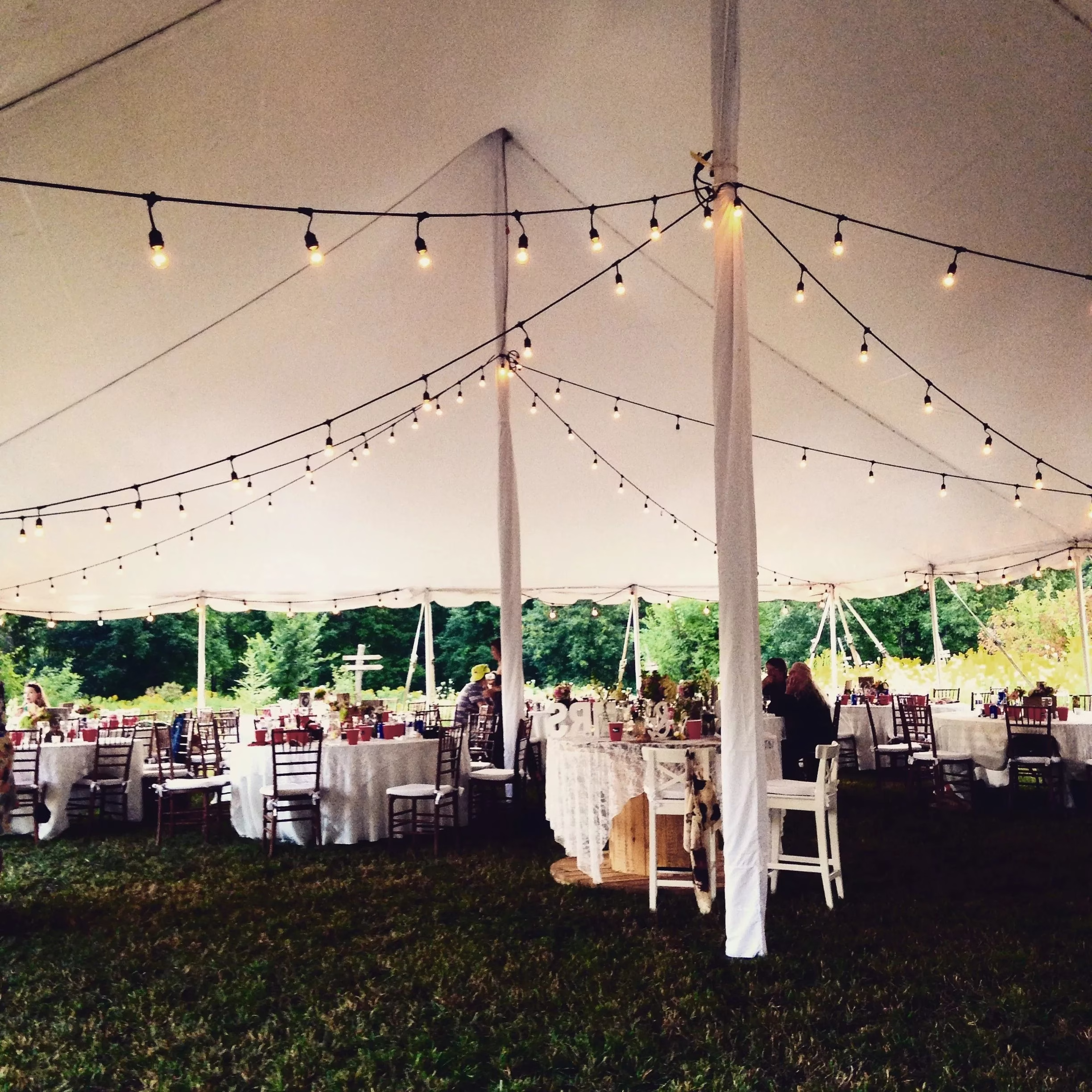 String Lights 48 Ft 2 String Lights 48 Ft rental Toronto GTA - Vibrant Occasions Scarborough